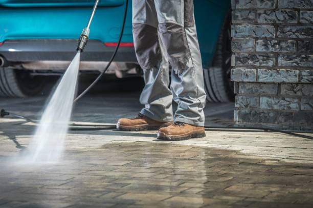 Best Pre-Holiday Cleaning  in Du Quoin, IL