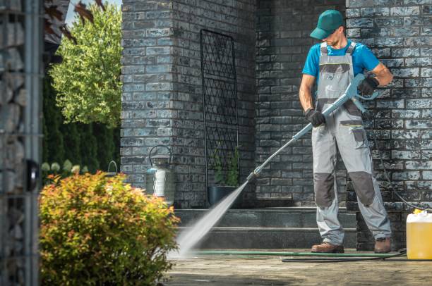 Best Soft Washing  in Du Quoin, IL